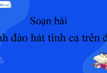 Soạn bài Lính đảo hát tình ca trên đảo SGK Ngữ Văn 10 tập 1 Cánh Diều - siêu ngắn>