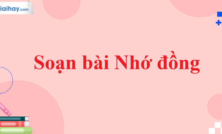 Soạn bài Nhớ đồng SGK Ngữ văn 11 tập 1 Kết nối tri thức - chi tiết>