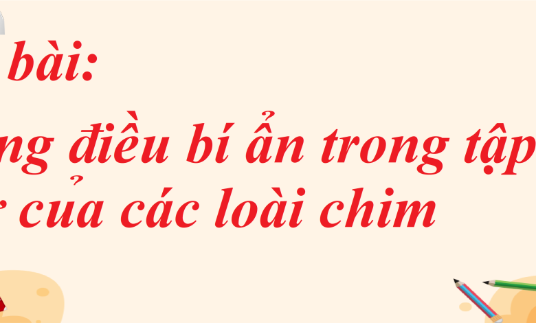 Soạn bài Những điều bí ẩn trong tập tính di cư của các loài chim SGK Ngữ văn 8 tập 1 Chân trời sáng tạo - chi tiết>