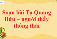 Soạn bài Tạ Quang Bửu – người thầy thông thái SGK Ngữ văn 11 tập 1 Cánh diều - chi tiết>