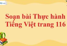 Soạn bài Thực hành Tiếng Việt trang 116 SGK Ngữ văn 11 tập 1 Cánh diều - chi tiết>