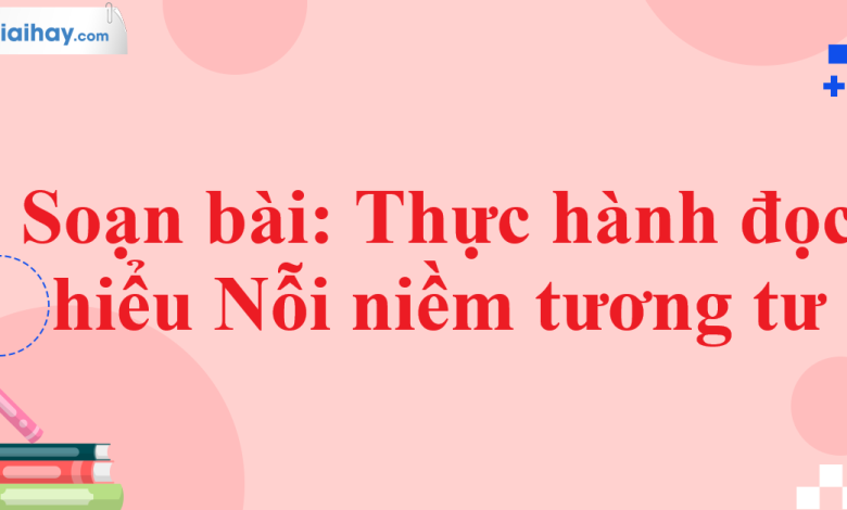 Soạn bài Thực hành đọc hiểu Nỗi niềm tương tư SGK Ngữ văn 11 tập 1 Cánh diều - chi tiết>