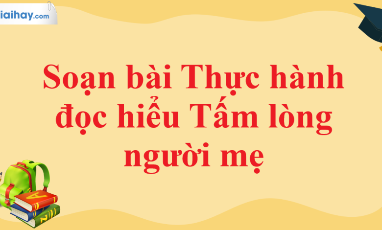 Soạn bài Thực hành đọc hiểu Tấm lòng người mẹ SGK Ngữ văn 11 tập 1 Cánh diều - chi tiết>