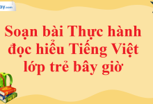 Soạn bài Thực hành đọc hiểu Tiếng Việt lớp trẻ bây giờ SGK Ngữ văn 11 tập 1 Cánh diều - chi tiết>