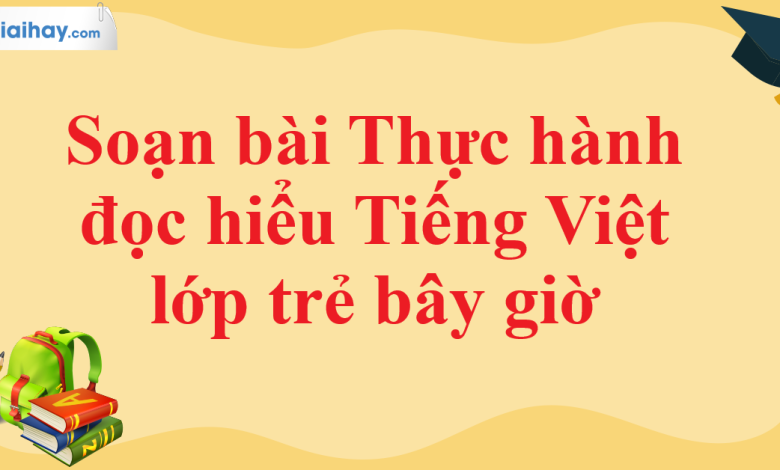 Soạn bài Thực hành đọc hiểu Tiếng Việt lớp trẻ bây giờ SGK Ngữ văn 11 tập 1 Cánh diều - chi tiết>