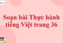 Soạn bài Thực hành tiếng Việt trang 36 SGK Ngữ văn 11 tập 1 Kết nối tri thức - chi tiết>