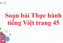 Soạn bài Thực hành tiếng Việt trang 45 SGK Ngữ văn 11 tập 1 Chân trời sáng tạo - chi tiết>