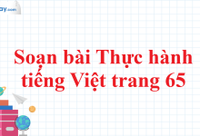 Soạn bài Thực hành tiếng Việt trang 65 SGK Ngữ văn 11 tập 1 Kết nối tri thức - chi tiết>