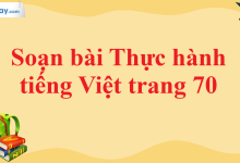 Soạn bài Thực hành tiếng Việt trang 70 SGK Ngữ văn 11 tập 1 Chân trời sáng tạo - chi tiết>