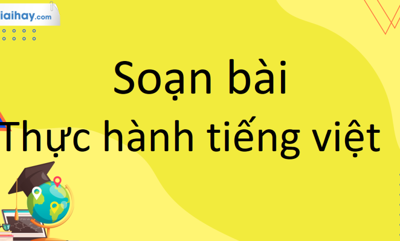 Soạn bài Thực hành tiếng việt trang 112 SGK Ngữ Văn 10 tập 1 Kết nối tri thức - siêu ngắn>