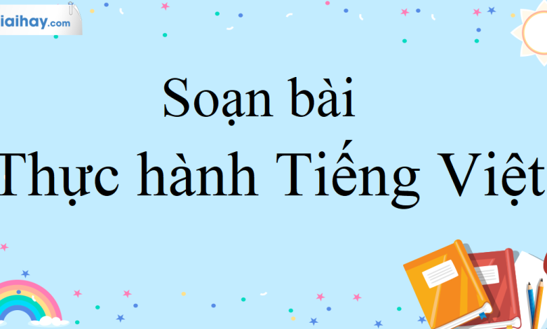 Soạn bài Thực hành tiếng việt trang 127 SGK Ngữ Văn 10 tập 1 Chân trời sáng tạo - siêu ngắn>