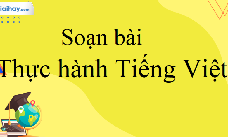 Soạn bài Thực hành tiếng việt trang 26 SGK Ngữ Văn 10 tập 2 Kết nối tri thức - siêu ngắn>