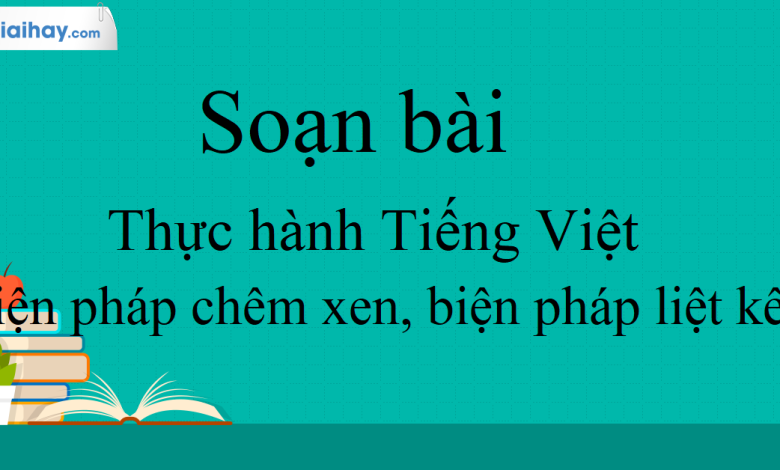 Soạn bài Thực hành tiếng việt trang 58 SGK Ngữ Văn 10 tập 2 Kết nối tri thức - siêu ngắn>