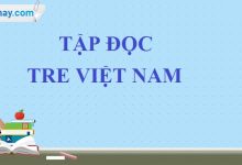 Soạn bài: Tre Việt Nam trang 41 SGK Tiếng Việt 4 tập 1>
