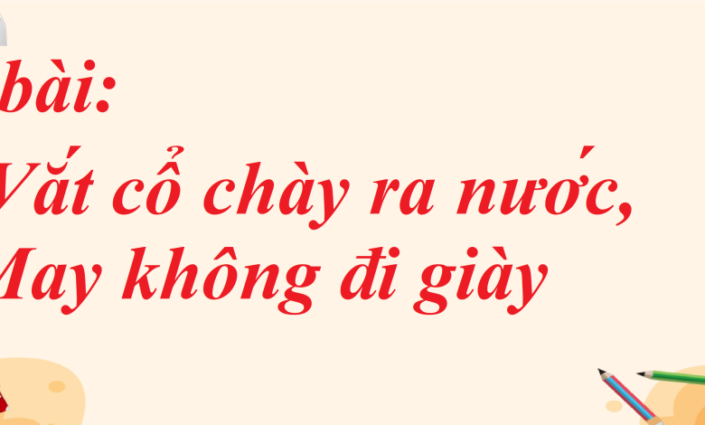 Soạn bài  Vắt cổ chày ra nước, May không đi giày SGK Ngữ văn 8 tập 1 Chân trời sáng tạo - chi tiết>