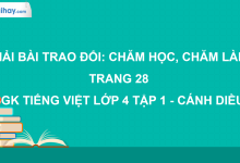 Trao đổi: Chăm học, chăm làm trang 28 SGK Tiếng Việt 4 tập 1 Cánh diều>