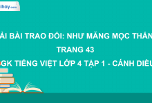 Trao đổi: Như măng mọc thẳng trang 43 SGK Tiếng Việt 4 tập 1 Cánh diều>