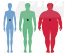 Hình bên mô tả ba người A, B, C đang ở các mức cân nặng khác nhau