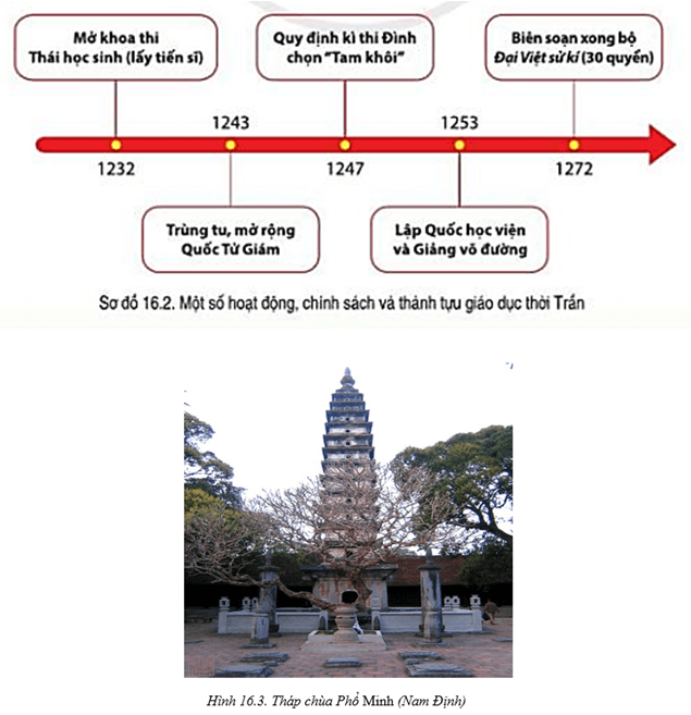 Đọc thông tin, tư liệu và quan sát sơ đồ 16.2, hình 16.3 hãy trình bày những