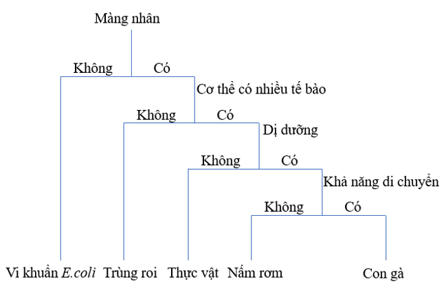 Bài 23: Thực hành xây dựng khóa lưỡng phân