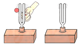 Trong thí nghiệm như hình bên, khi người ta gõ vào một âm thoa