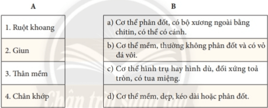 Bài 31: Động vật