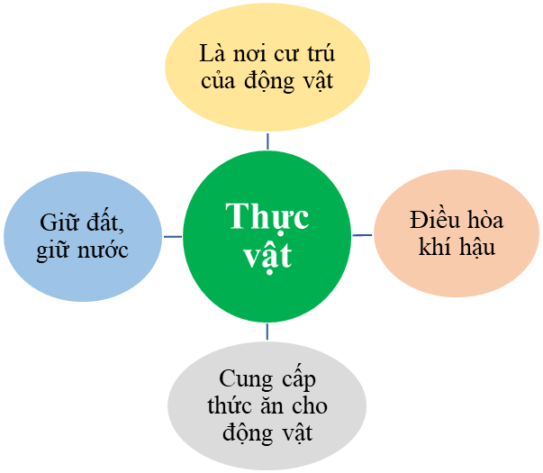 Bài 34: Tìm hiểu sinh vật ngoài thiên nhiên