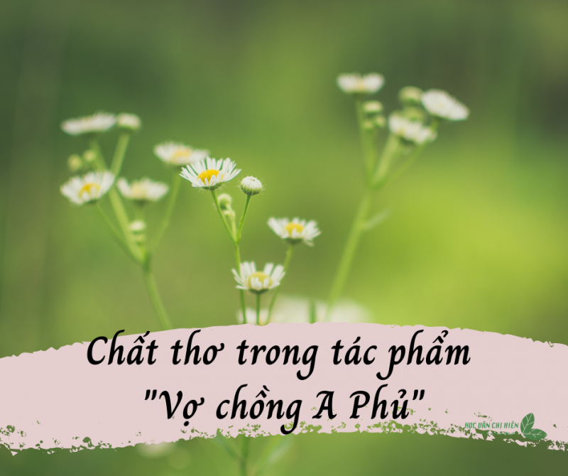 Phân tích chất thơ trong Vợ chồng A Phủ.