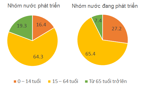 Giải Địa lí 10 Bài 22 Thực hành: phân tích tháp dân số, vẽ biểu đồ  cơ cấu dân số theo nhóm tuổi – Chân trời sáng tạo (ảnh 1)