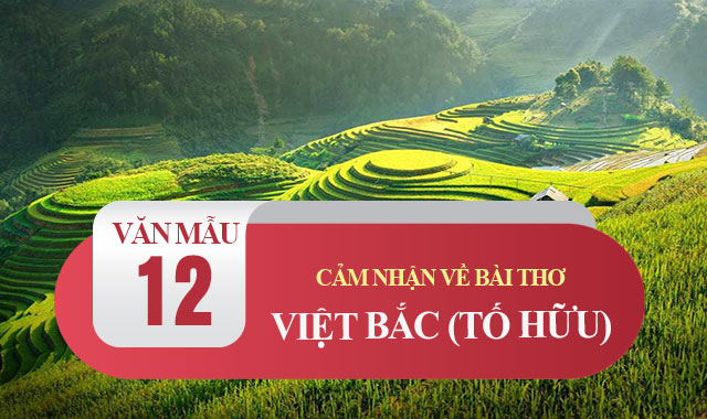 Cảm nhận của em về bài thơ Việt Bắc của Tố Hữu