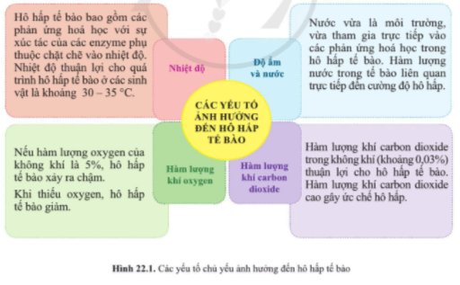 Quan sát hình 22.1, nêu các yếu tố chủ yếu ảnh hưởng đến hô hấp tế bào