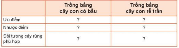 Hoàn thành theo mẫu bảng dưới đây về các phương pháp trồng rừng