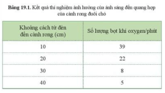 Từ kết quả trong bảng 19.1, cho biết ánh sáng mạnh hay yếu có ảnh hưởng đến quang hợp