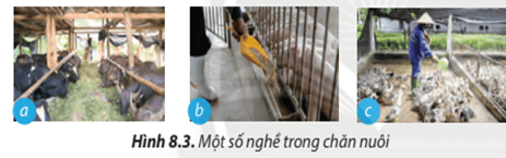 Hãy kể tên nghề chăn nuôi trong trường hợp ở Hình 8.3