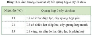 Đọc thông tin bảng 19.3, cho biết ảnh hưởng của nhiệt độ đến quang hợp ở cây cà chua