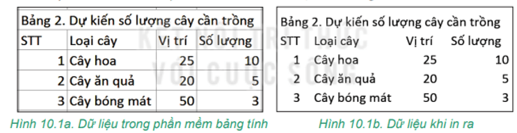 Hoạt động 1 trang 51 Tin học lớp 7 | Kết nối tri thức