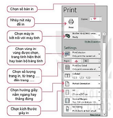 Hoạt động 2 trang 53 Tin học lớp 7 | Kết nối tri thức