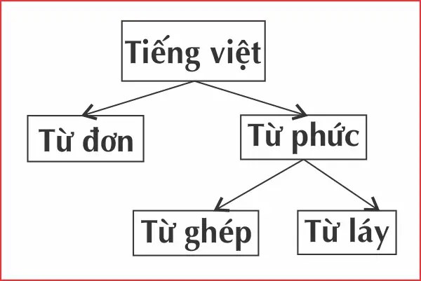 Đơn vị cấu tạo từ