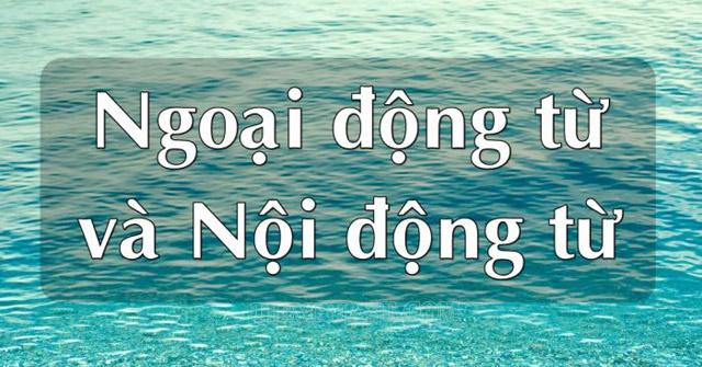 Phân loại động từ