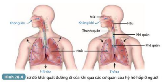 Tài liệu THCS Bình Chánh