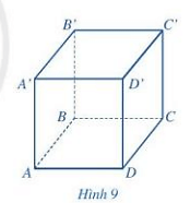 Quan sát hình lập phương ở Hình 9, đọc tên các mặt, các cạnh
