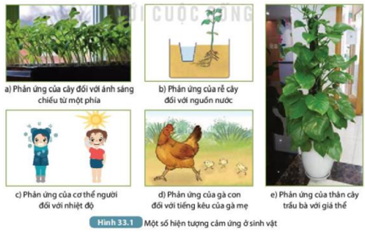 Tài liệu THCS Bình Chánh