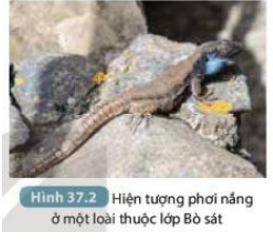 Tài liệu THCS Bình Chánh