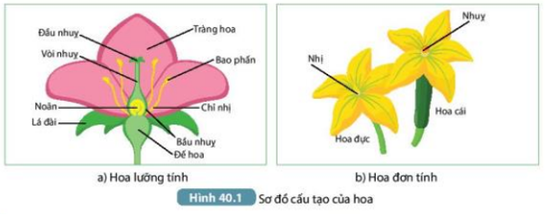 Tài liệu THCS Bình Chánh