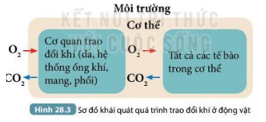 Tài liệu THCS Bình Chánh