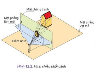 Quan sát Hình 12.2 và mô tả mối quan hệ giữa các yếu tố điểm nhìn mặt phẳng tầm mắt mặt tranh mặt phẳng vật thể và đường chân trời