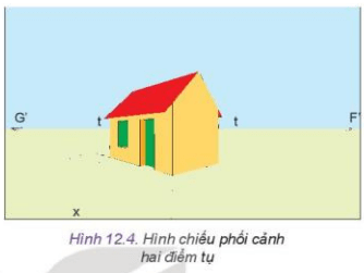 Quan sát Hình 12.4 và cho biết