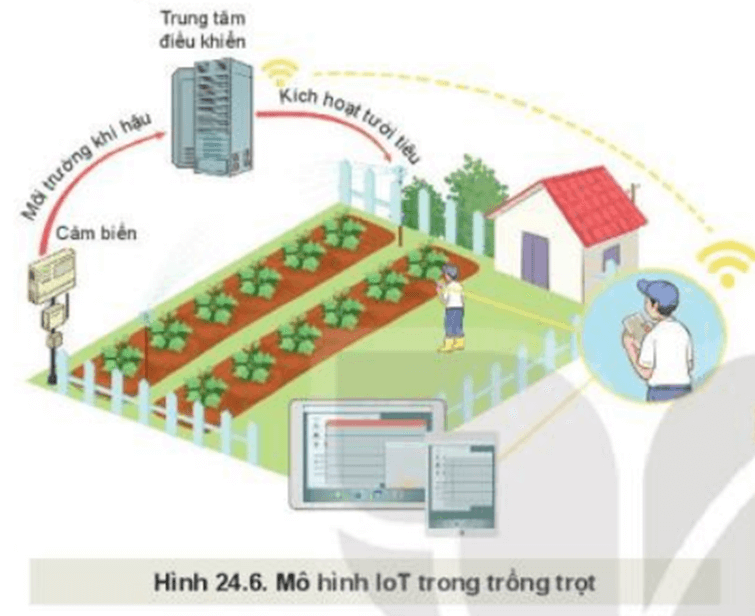 Quan sát Hình 24.6 và mô tả hoạt động của mô hình IoT trong trồng trọt