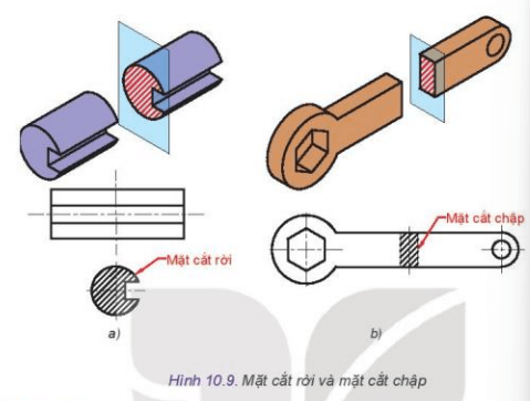 Quan sát Hình 10.9 và thực hiện các nhiệm vụ sau