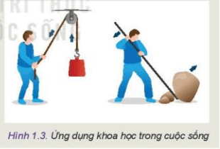 Quan sát Hình 1.3 và cho biết